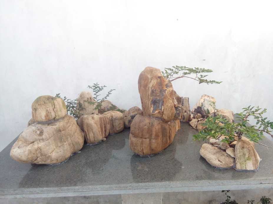 Penjing bengkulu Small 2
