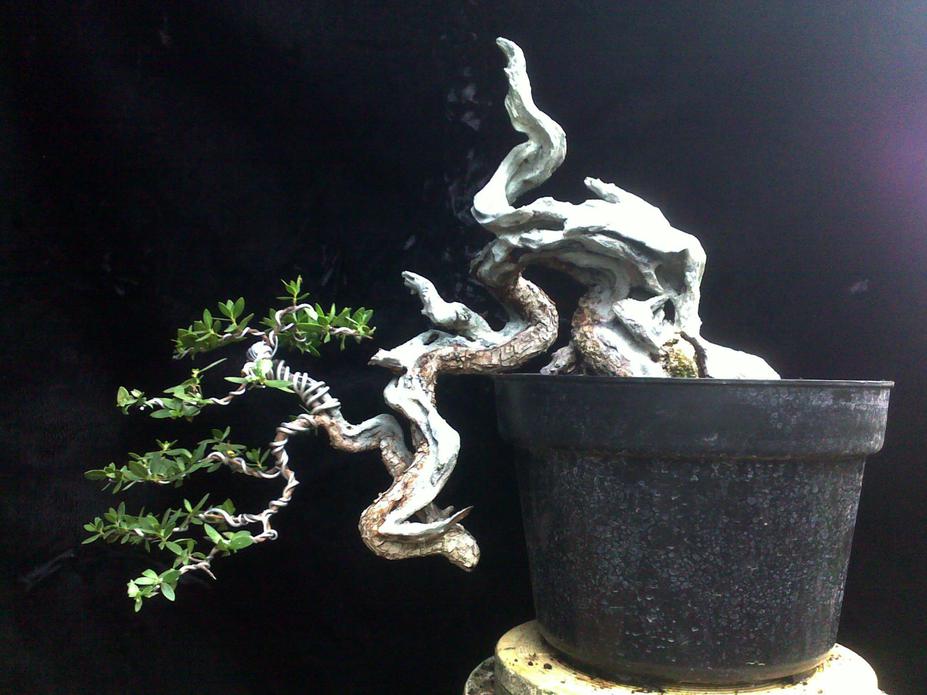 twisted down dragon Small 3
