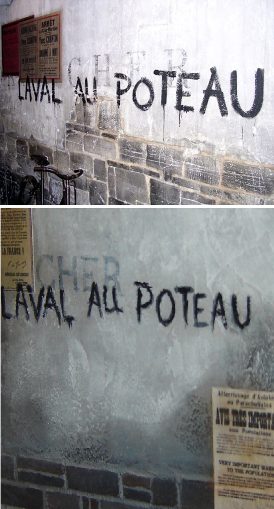 Liberte Small 6