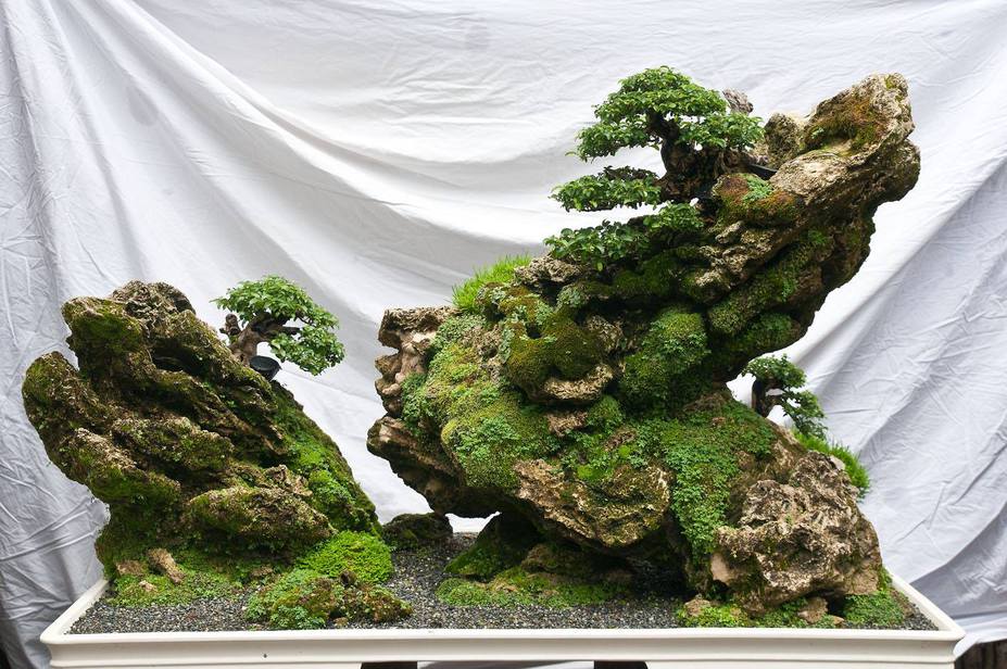 Green Mountains Small 2