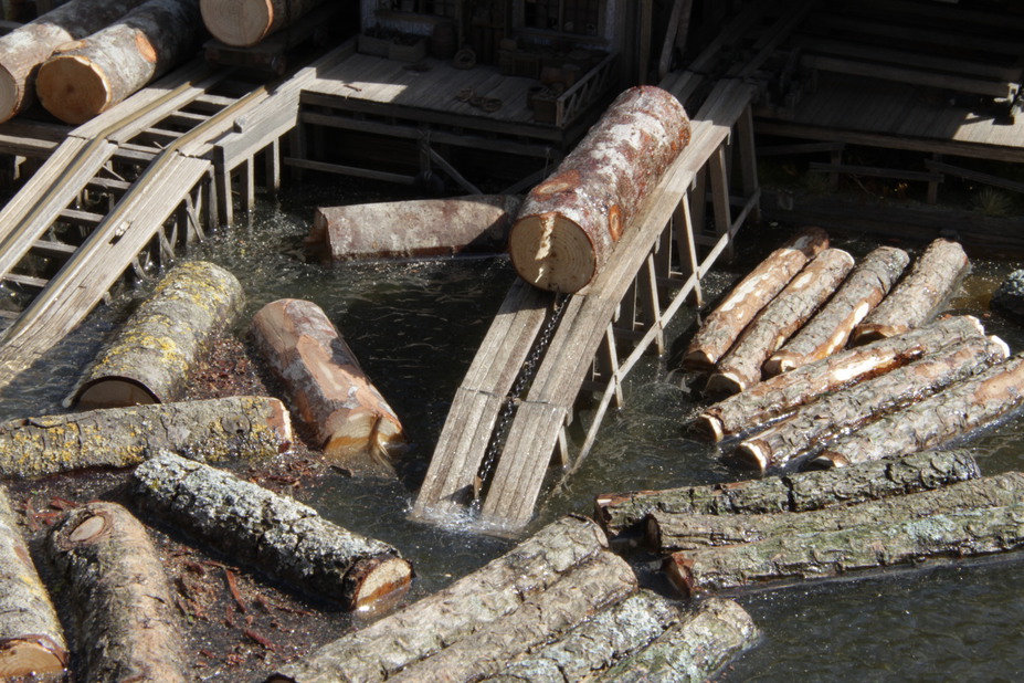 Twin Mills Log Pond and Sawmill Small 4