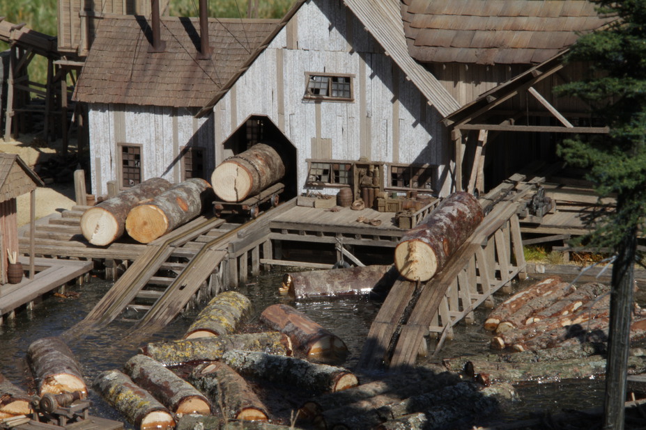 Twin Mills Log Pond and Sawmill Small 6