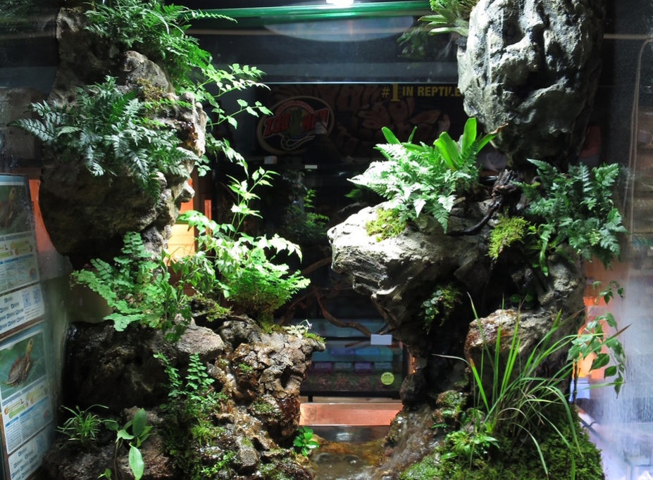 Paludarium