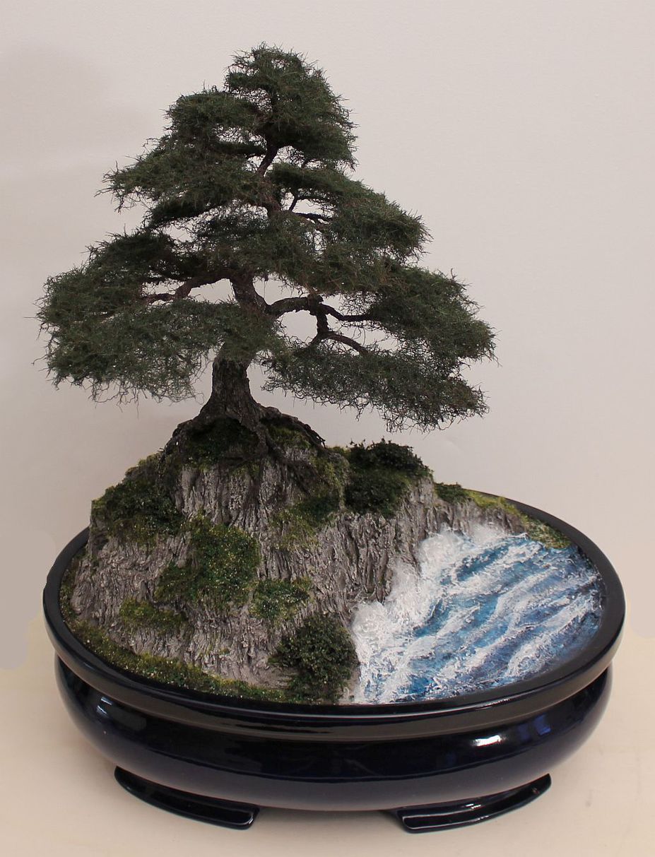 Pine tree on a rock