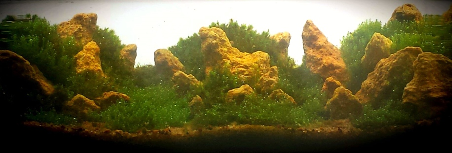 Las Pedreras