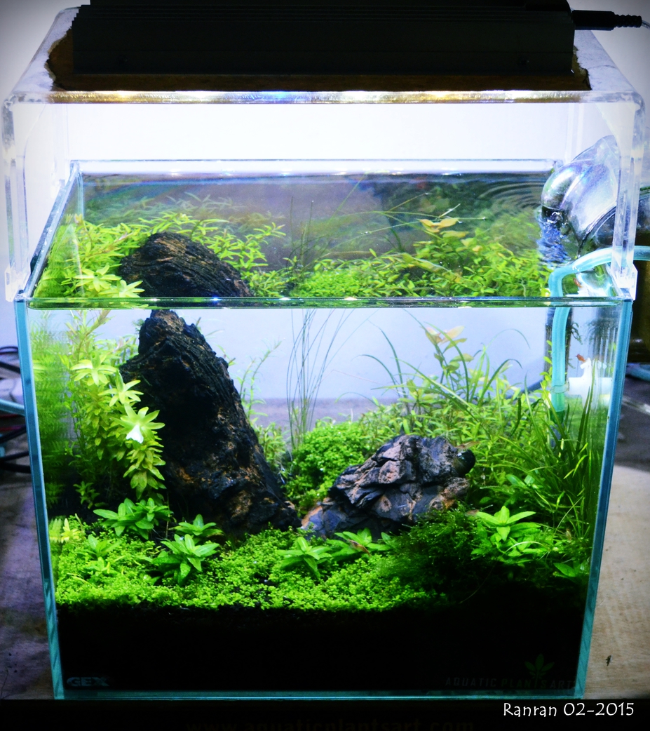 Nano Tank Gex300