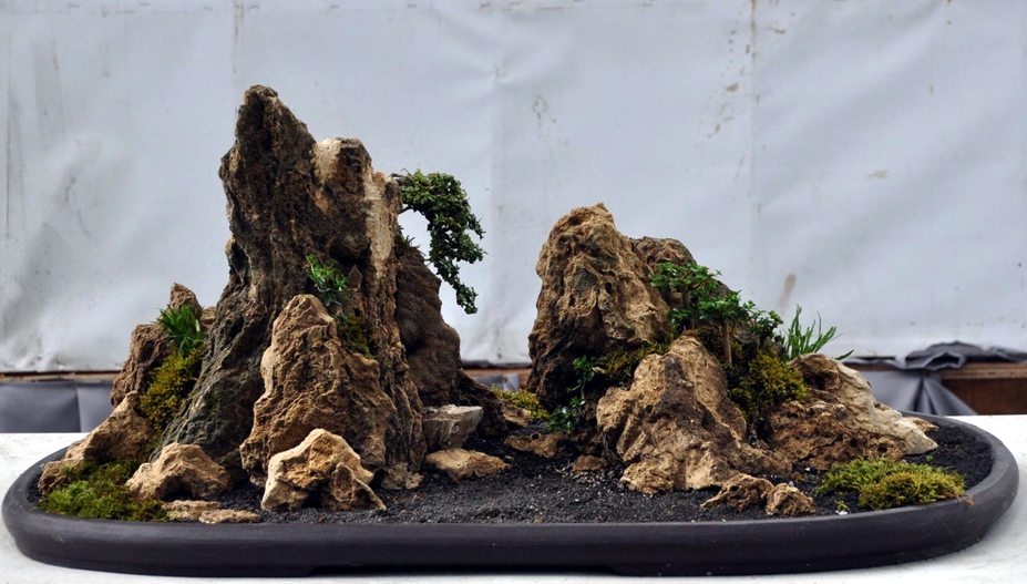 Penjing setup demo in 2016 BSAPI