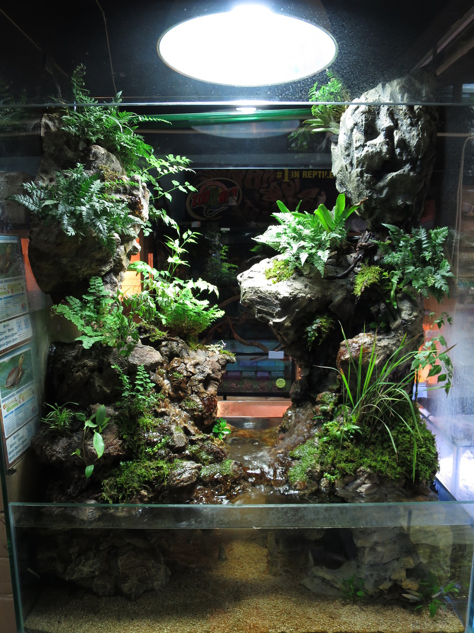 Paludarium Small 3