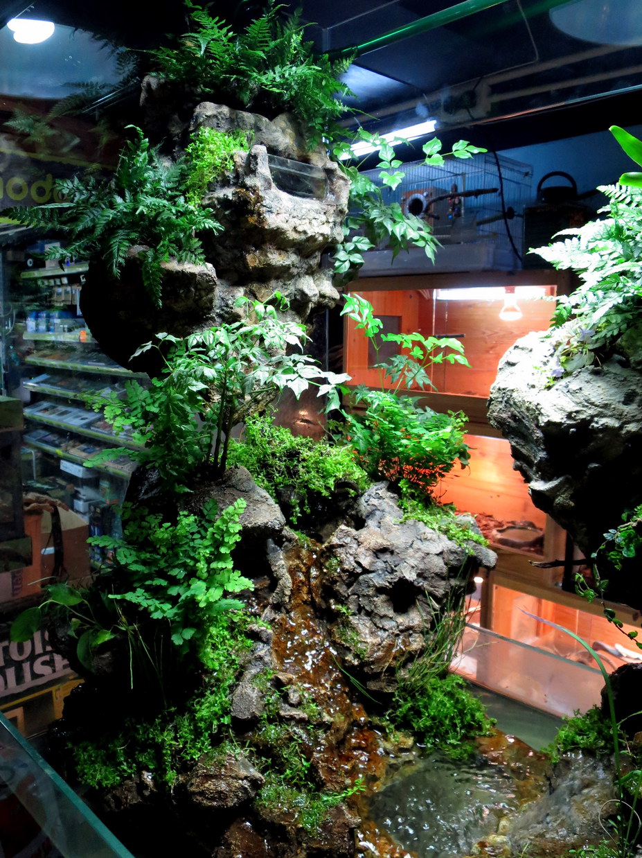 Paludarium Small 4