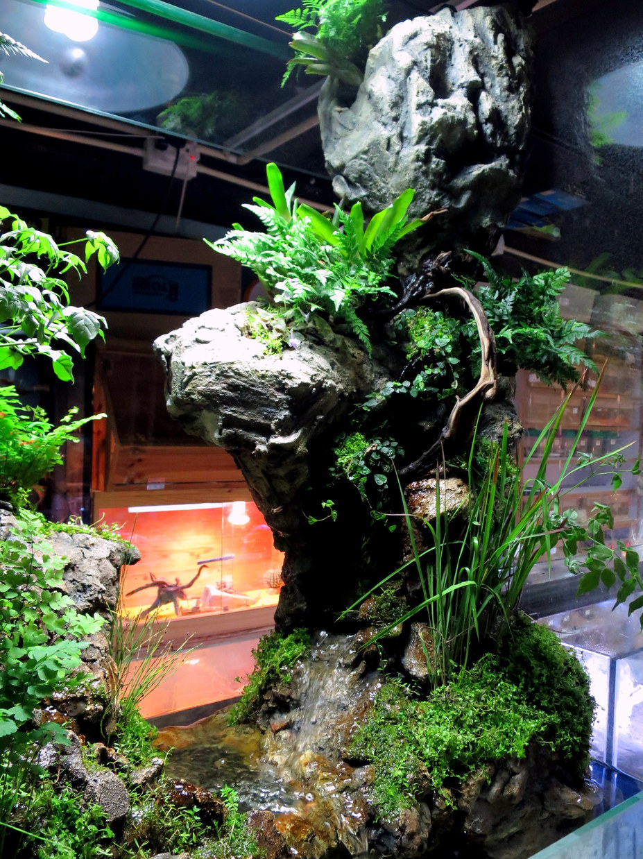 Paludarium Small 5