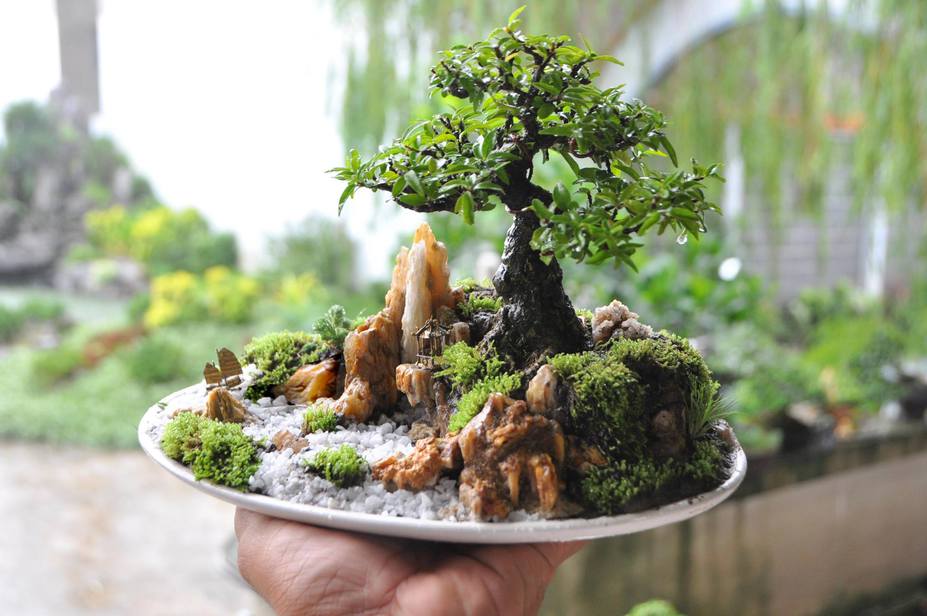 Magical penjing