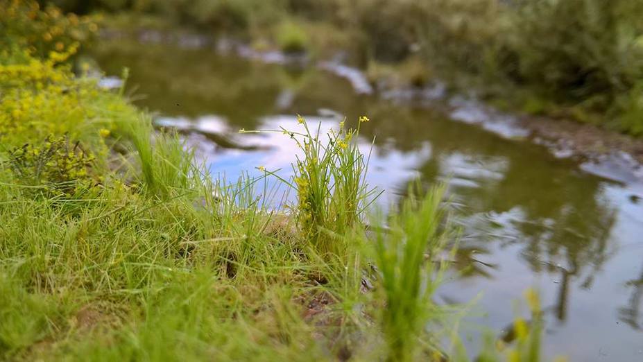 water along the railroad