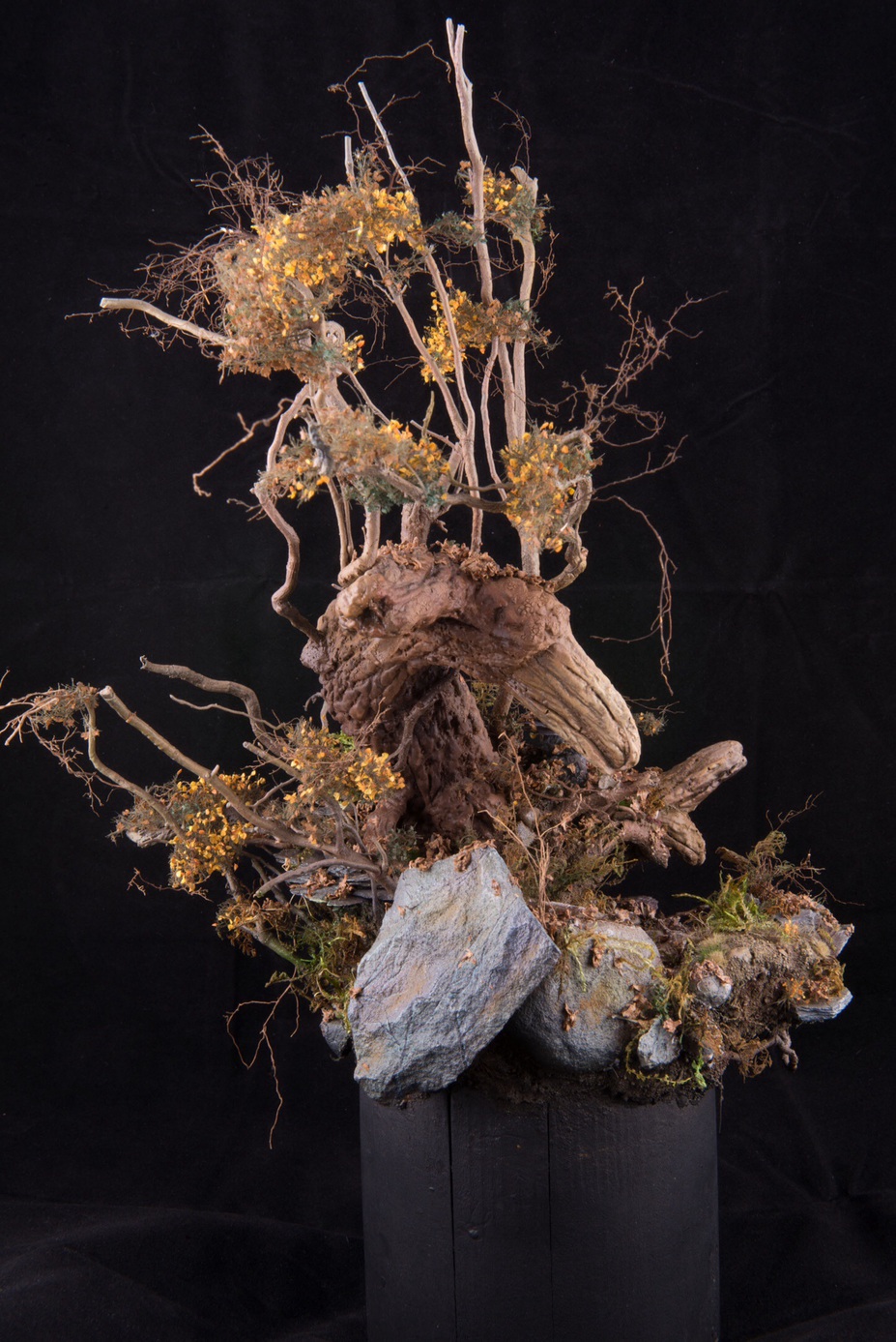 Forgotten Rites Small 3