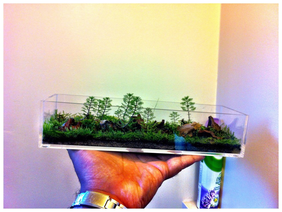 Forestry Small 4