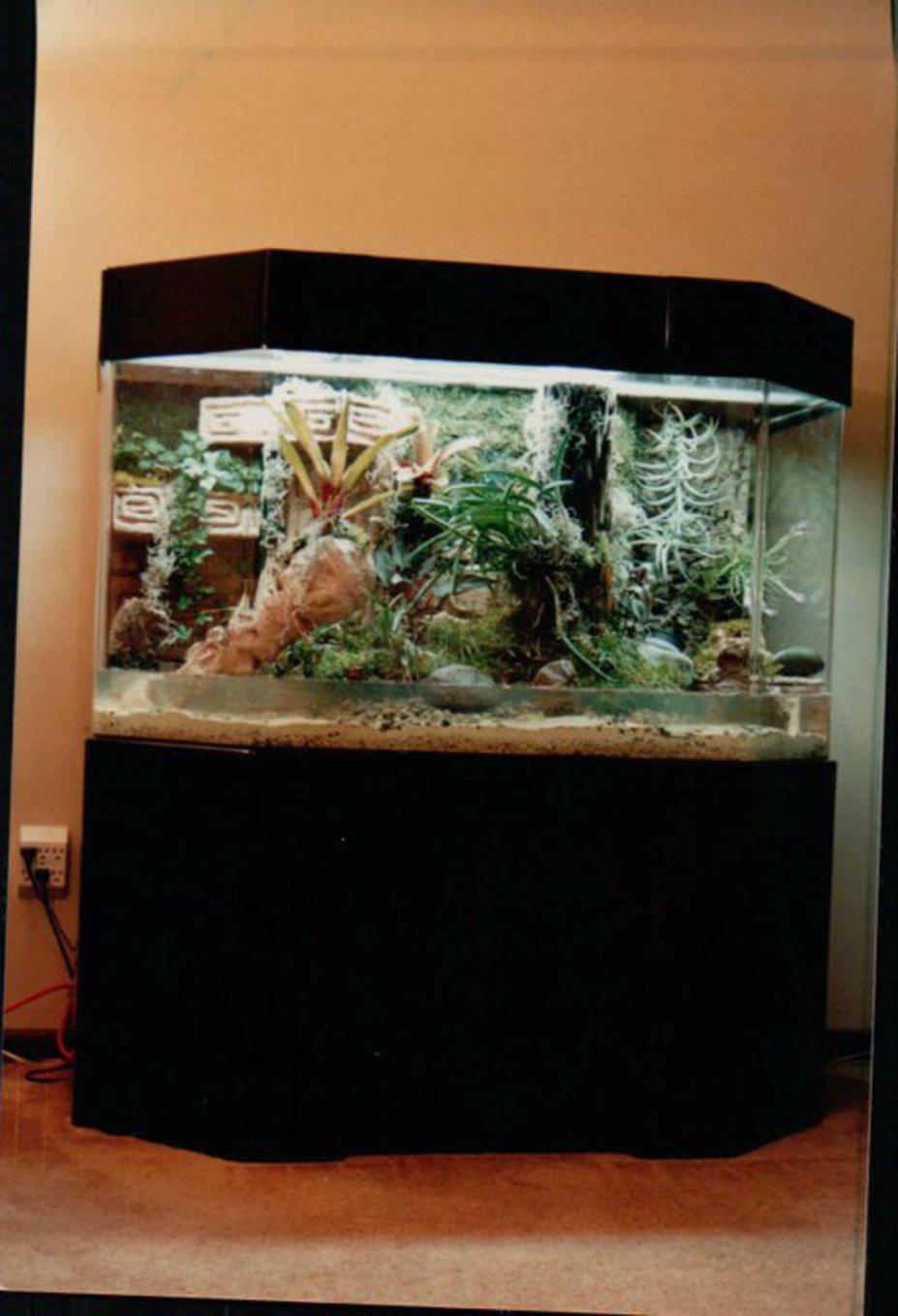 Reef Tank modification Small 