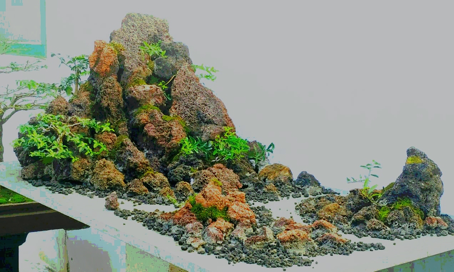 Penjing bengkulu Small 
