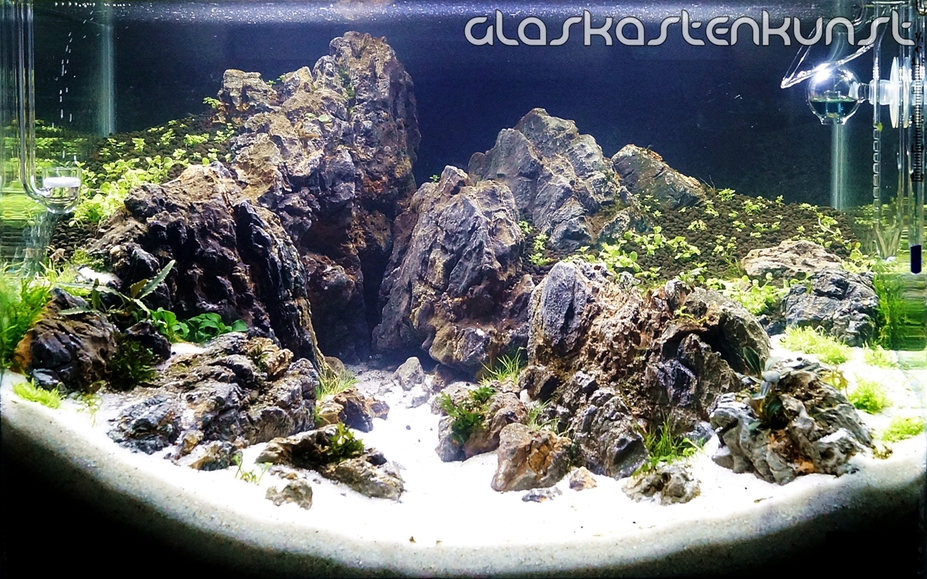 Scape that Shit! Small 2
