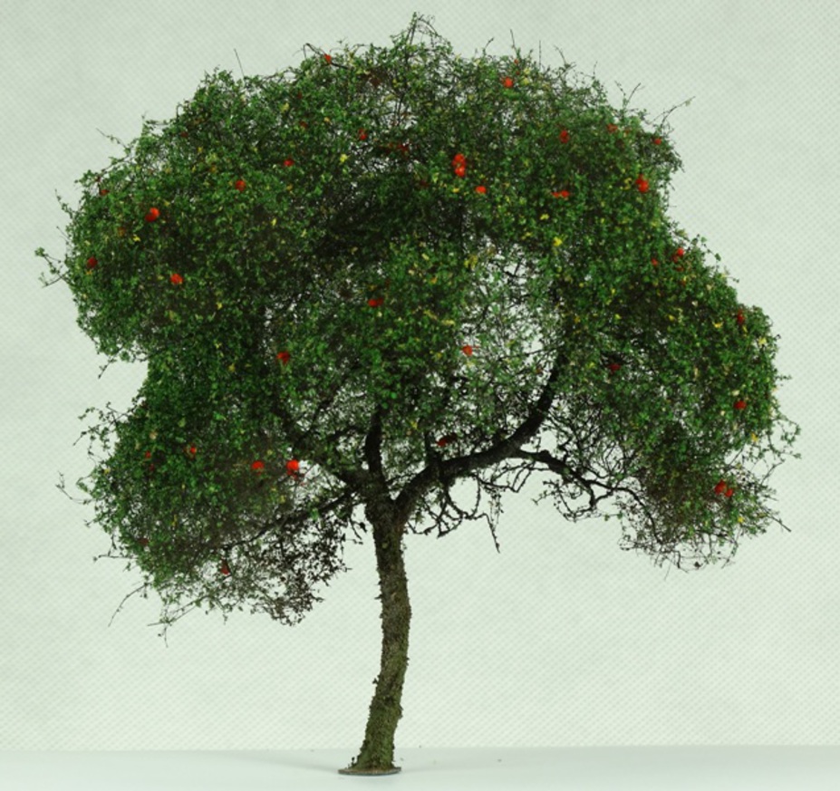 Trees for dioramas Small 3