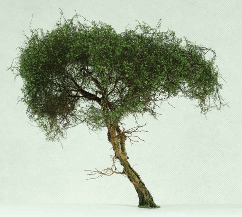Trees for dioramas Small 5