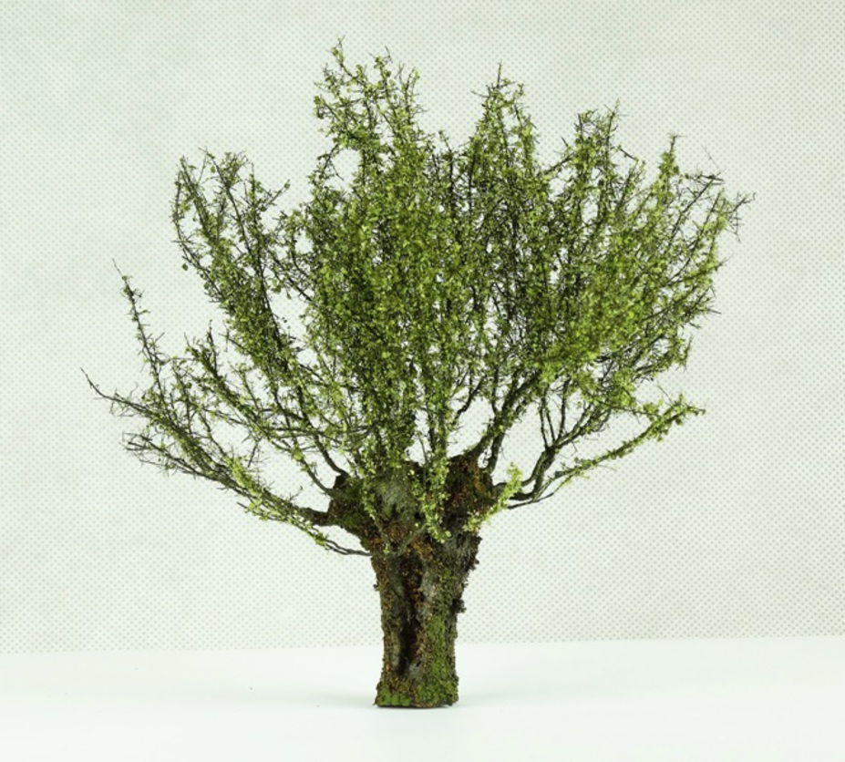 Trees for dioramas Small 6