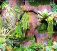 Huge Paludarium room