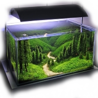 AquaScaping