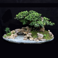 Penjing